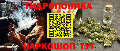 гашишное масло Камышлов