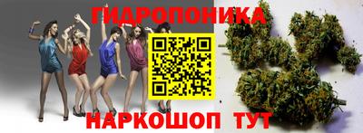 гашишное масло Камышлов