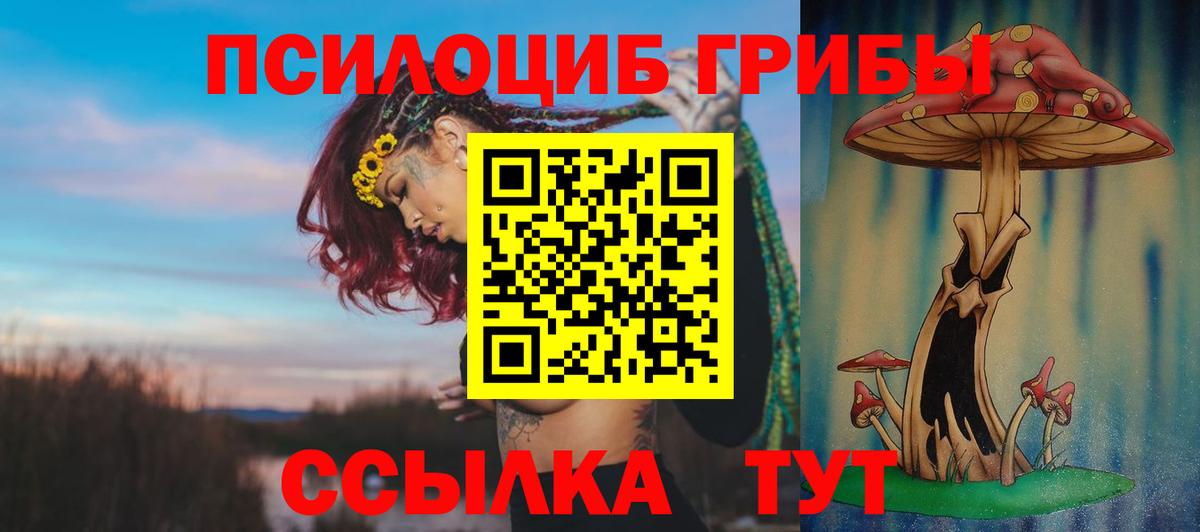 Краснокаменск  сколько стоит  Вход с VPN  Псилоцибиновые грибы мухоморы 